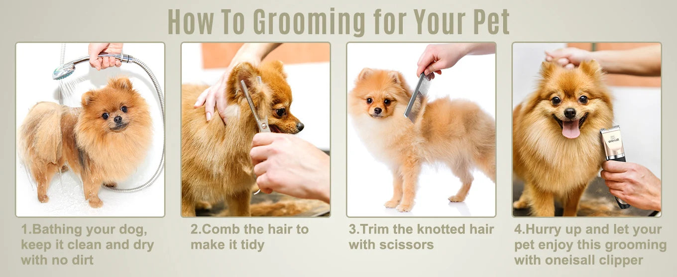 Four-step pet grooming tutorial